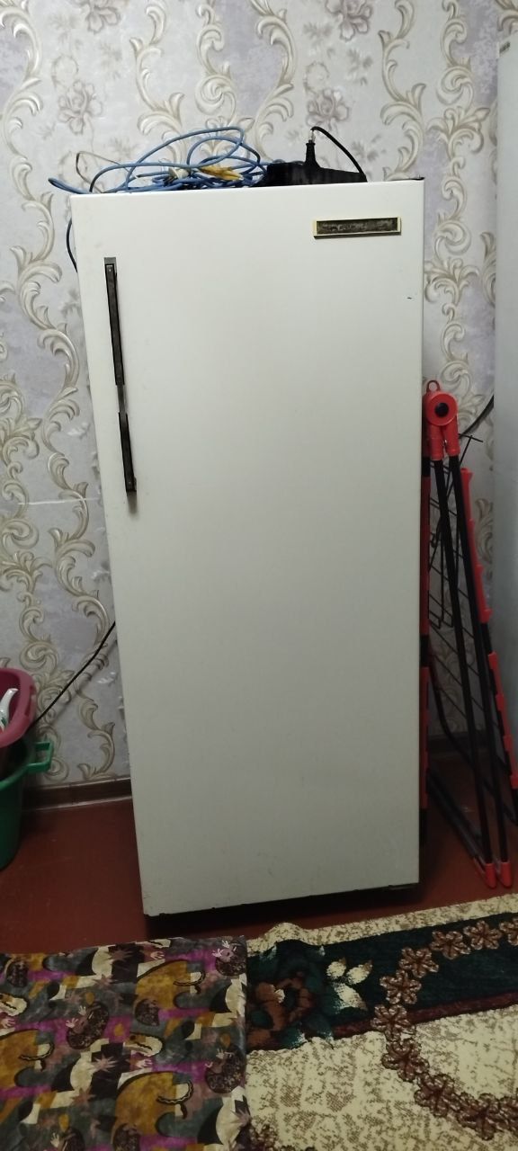 Холодильник российский