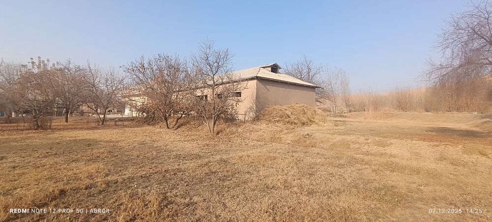 Navbaxor 29 sutiqlik xovli