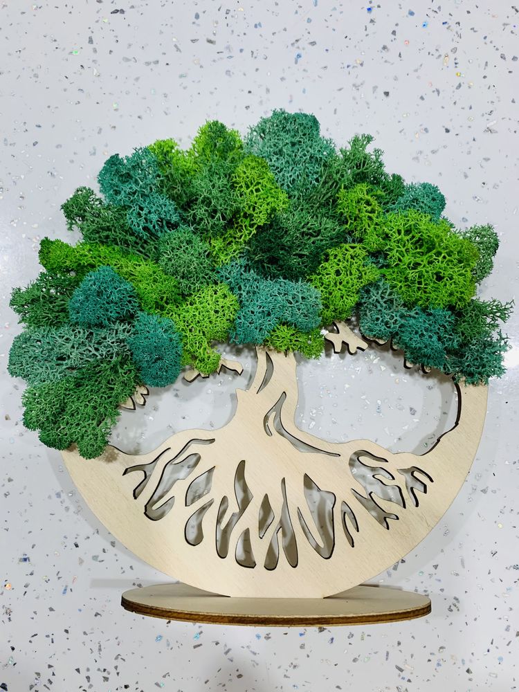 Copacul vietii cu licheni naturali
