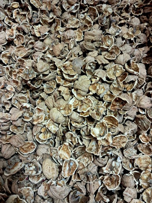 Орехови черупки Орехови черупки