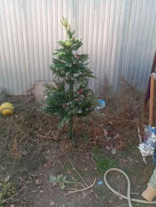 Продается елка, Состояния хорошее