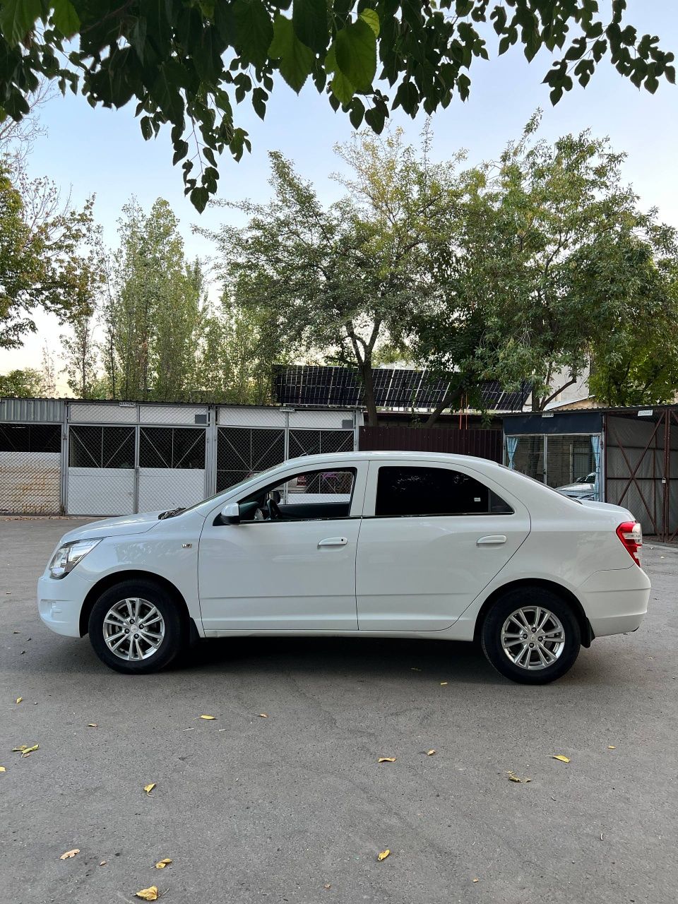 Cobalt Avtomat 2020