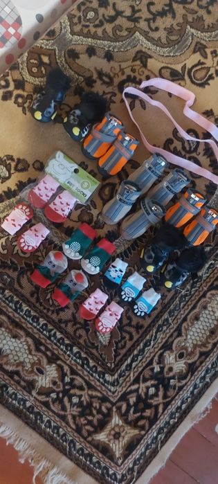 Для щенков кросовочки, носочки.