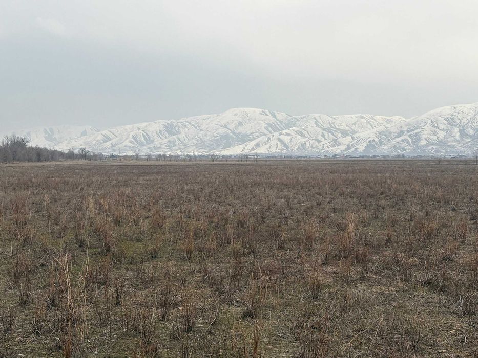 Участок 100 соток
Участок 100 соток