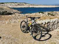 Bulls Bushmaster 29er 2015 XL