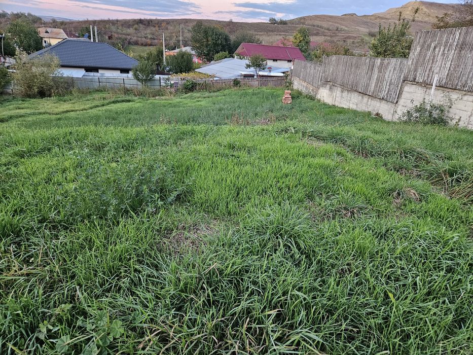 Teren intravilan în Vladiceni Iasi