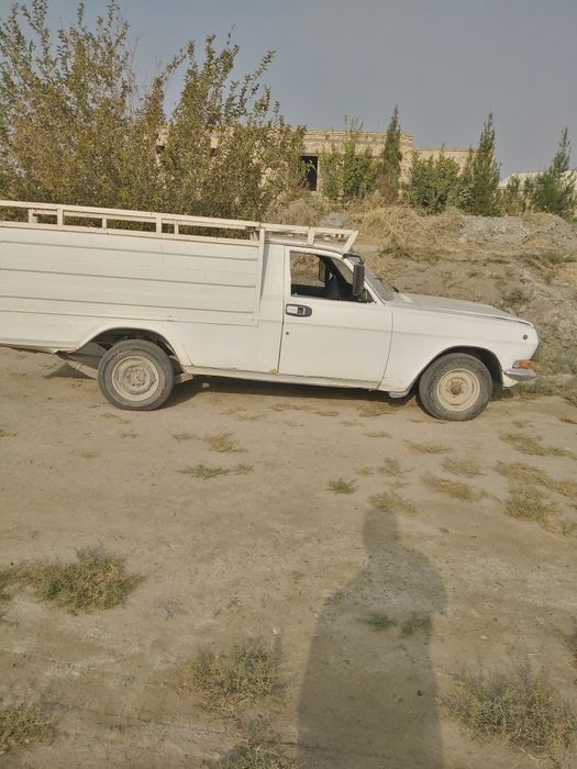 Volga 24 sotiladi