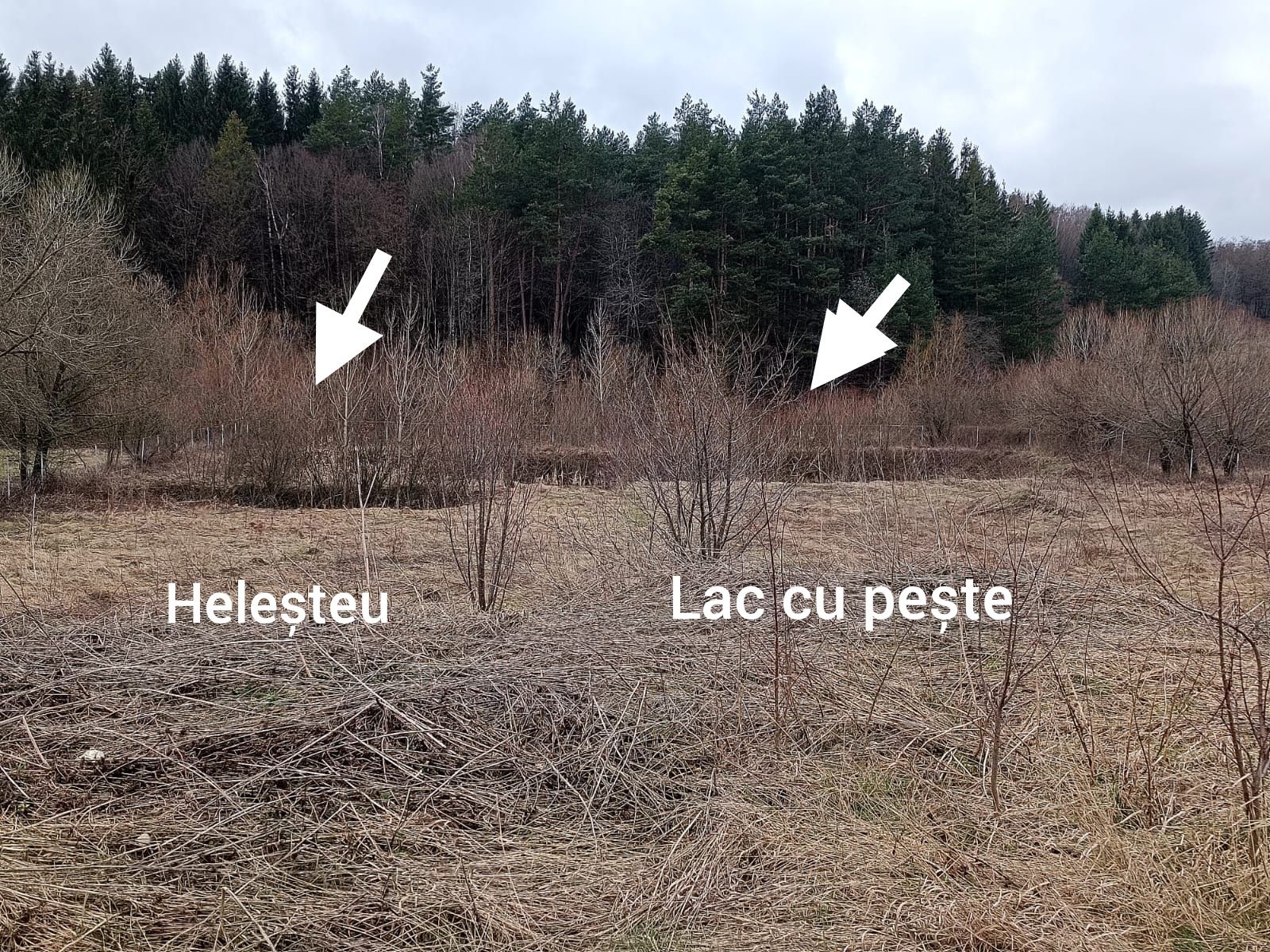 Teren intravilan cu râu, lac și heleșteu