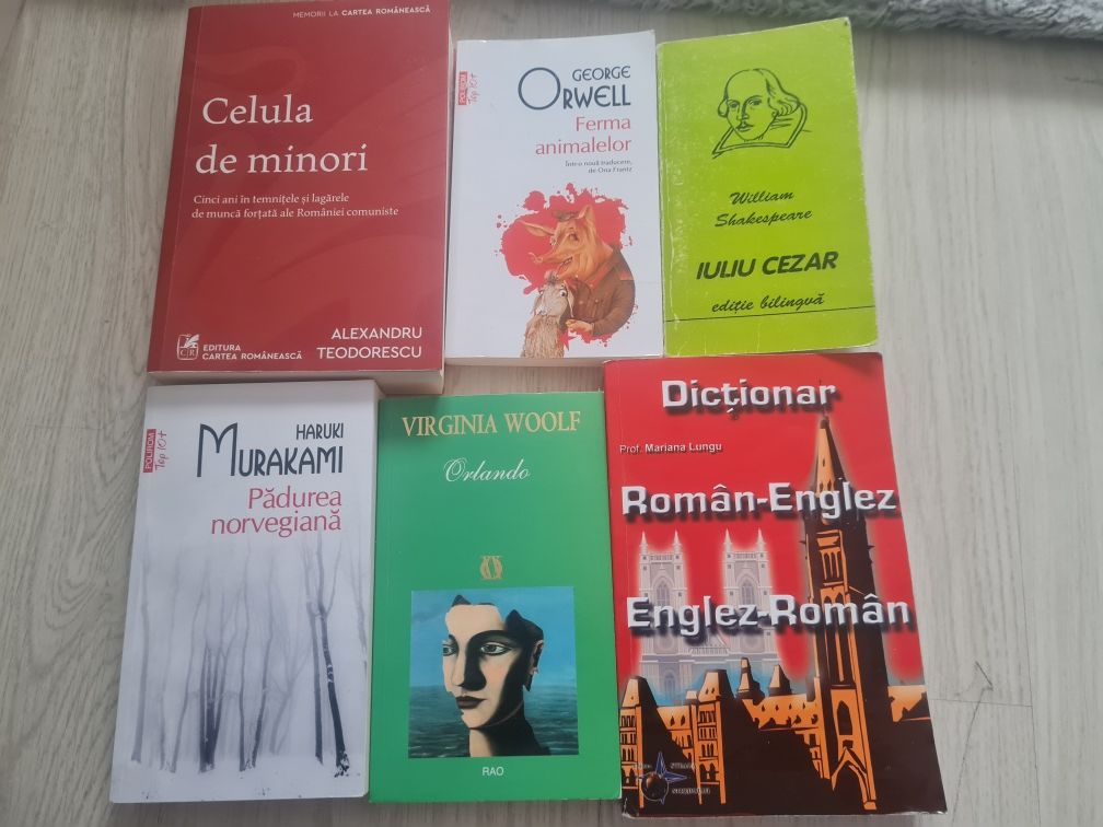 Cărți elevi și un dictionar