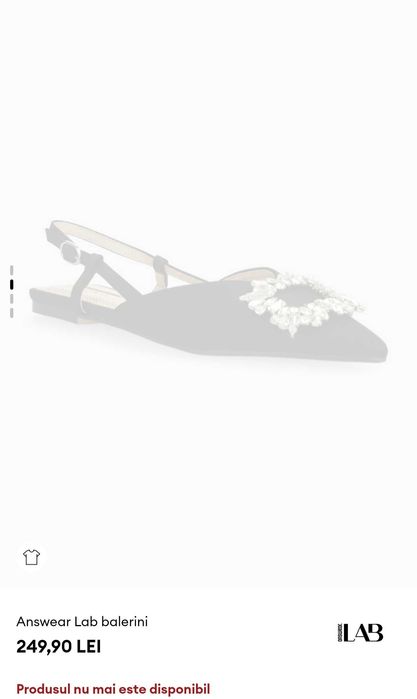 Balerini/Pantofi Answear Lab