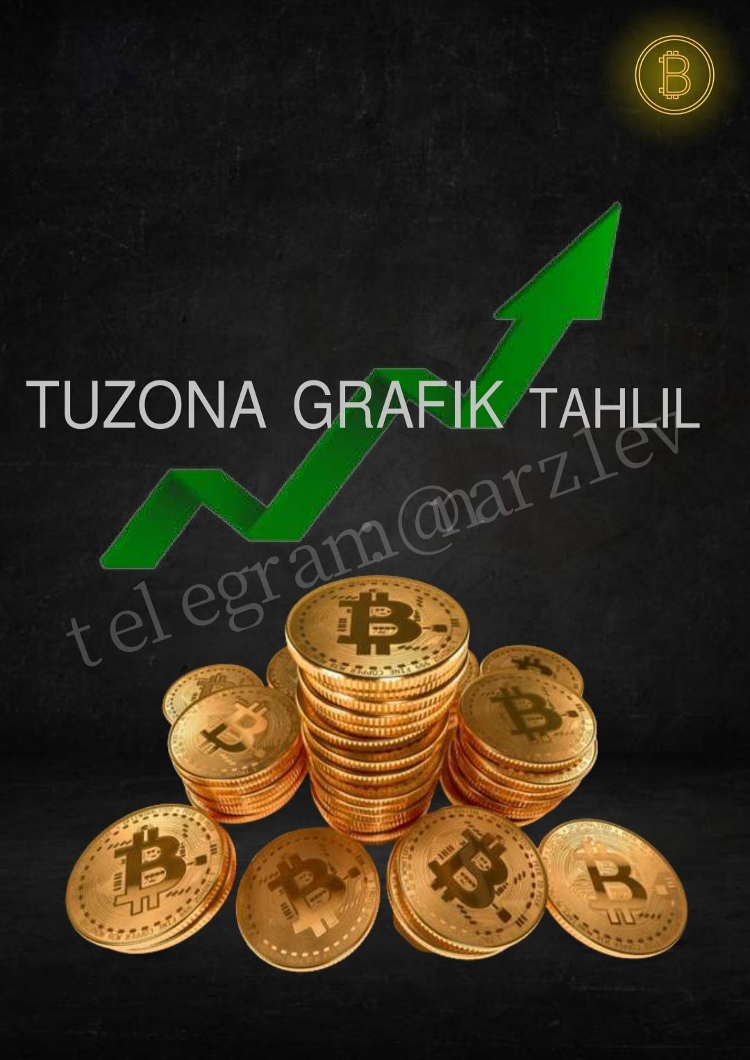 TU ZONA grafik taxlil