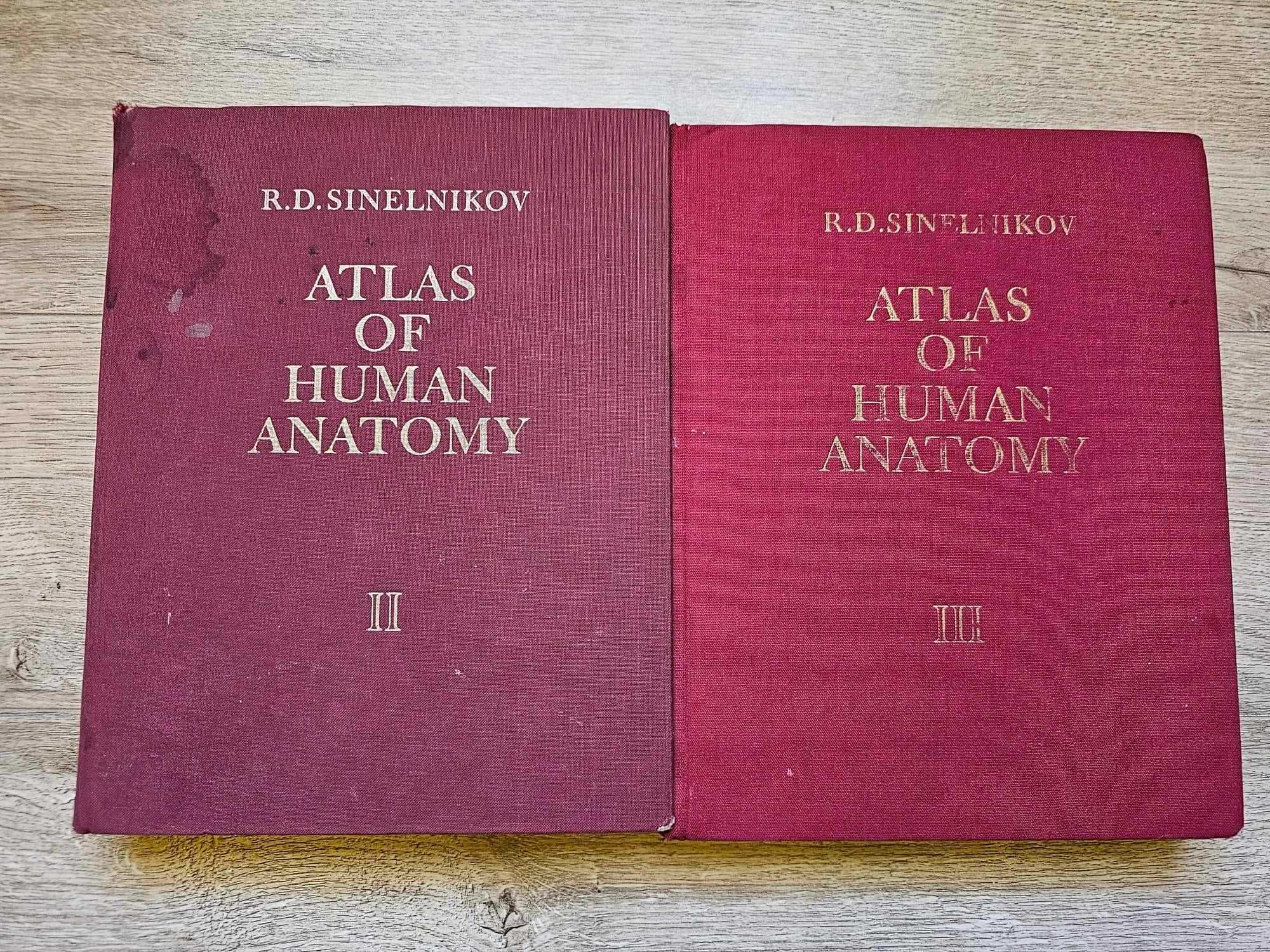 Atlas  Anatomie  Sinelnikov