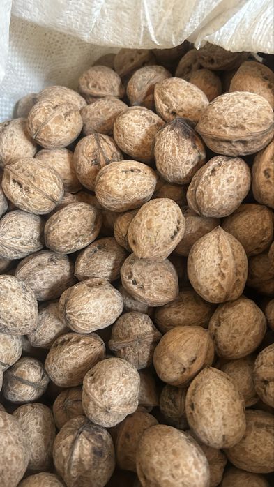 Грецкие орехи ,домашние,вкусные натуральные  из села Ленгер ЮКО.