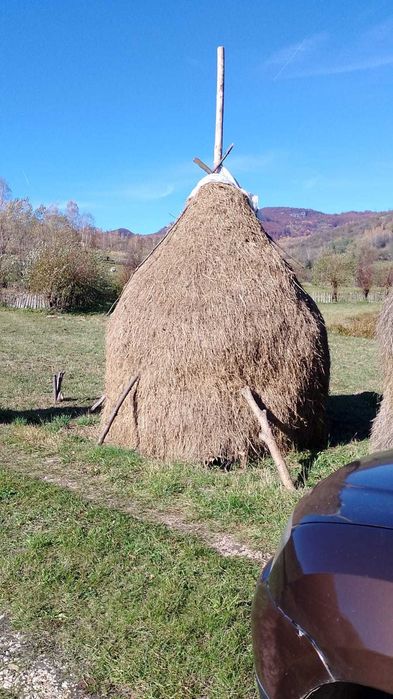 Vând 5 clăi de fan si una de otava, Bănița.