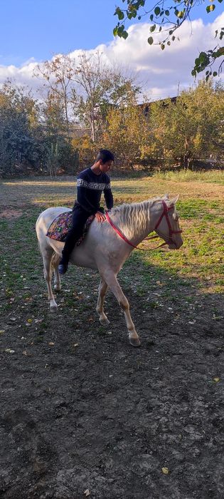 От сотилади зоти тоза