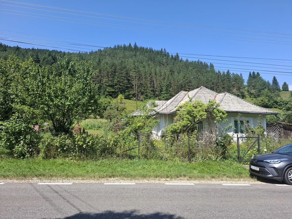 Casa si teren intravilan 5594 mp , utilități, livadă, Grințieș (Neamț)