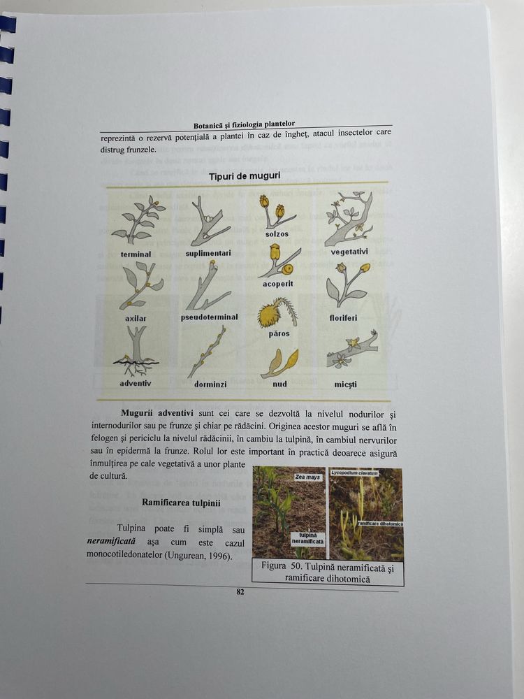 Botanică și fiziologia plantelor