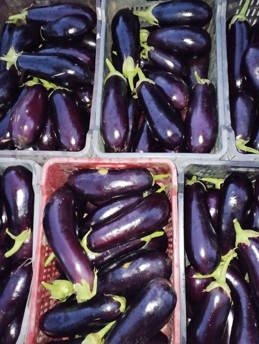 Roșii și vinete de vănzare!