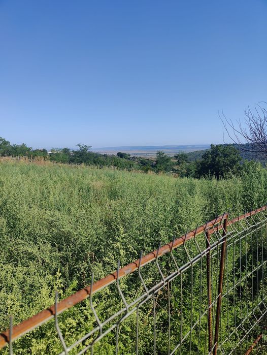 Teren intravilan 1193 mp Popricani – deschidere la drum, zonă liniștit