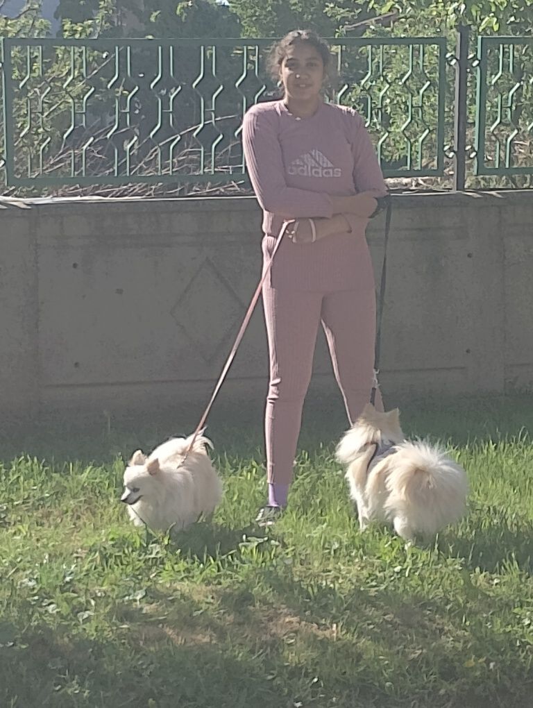 Продават се две кучета  бела и Майк