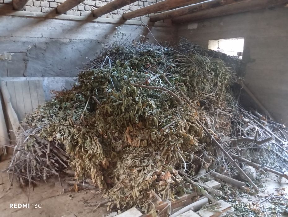 1ta ЗИЛ O'tinlar 1 million so'm hammasi