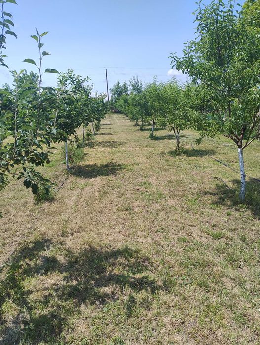 Vand casa  cu panouri fotovoltaice montate ,in sat Balta Alba ,Buzau