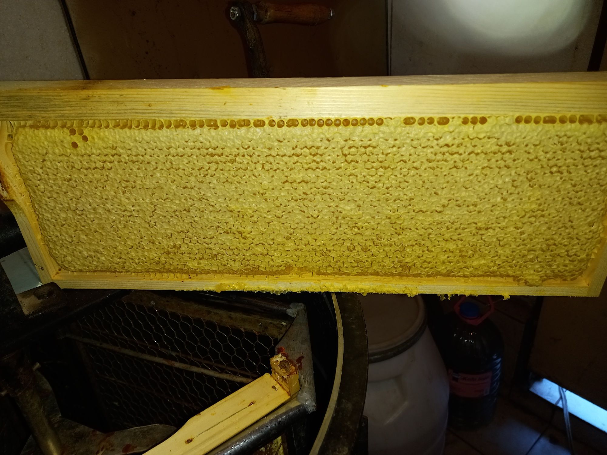 Натурален пчелен мед 100%Извлечен от природата