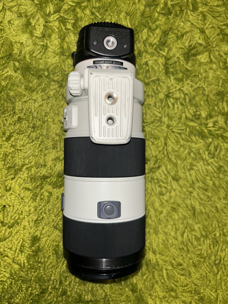 Sony 2.8/70-200 G и Sony LA-EA3