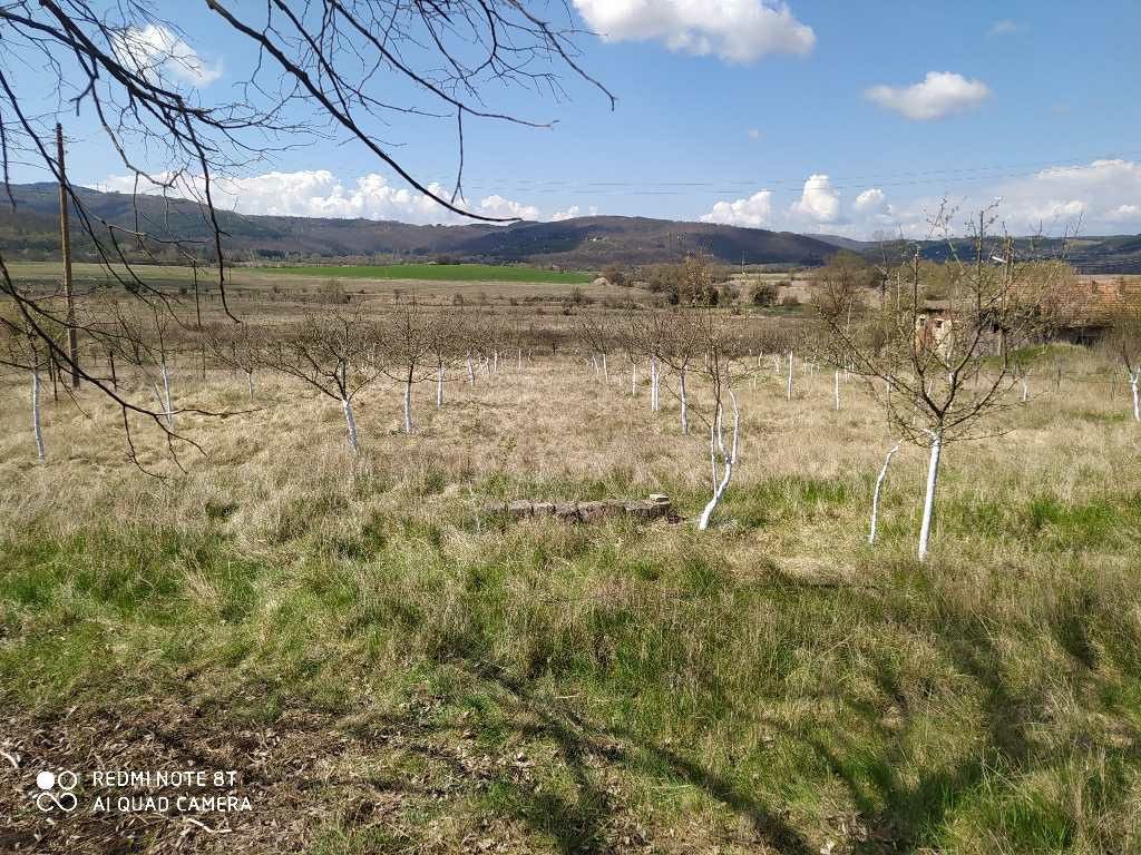 Продава се Парцел в с. Байкалско, Област Перник - 2084 кв.м за 10 €/кв.м - Снимка #4