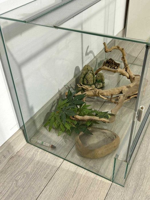 Terariu de Sticlă cu Ventilație Superioară și Decor Natural