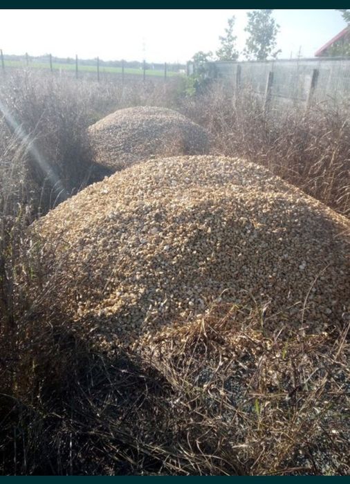Piatra Alba vânătă orice dimensiune cap de miel mărgăritar nisip pietr