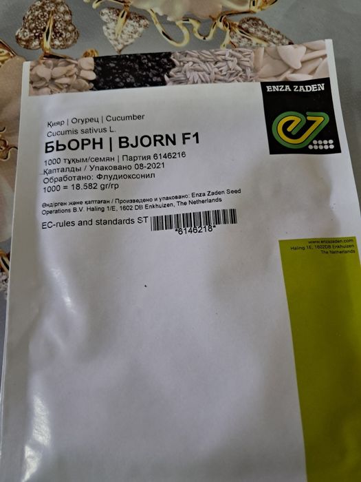 Продам семена огурцов Голландия