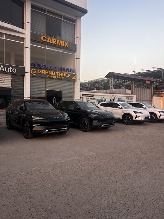 Byd champion 605 km full