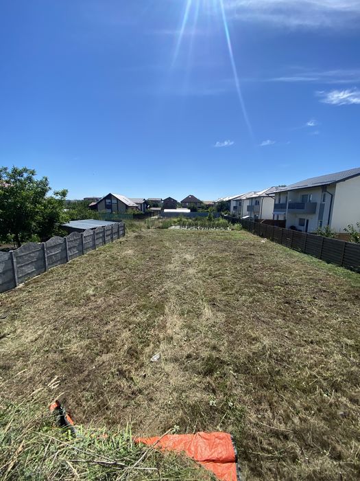 Tai tund defrisez erbicidez iarba gazon boscheti