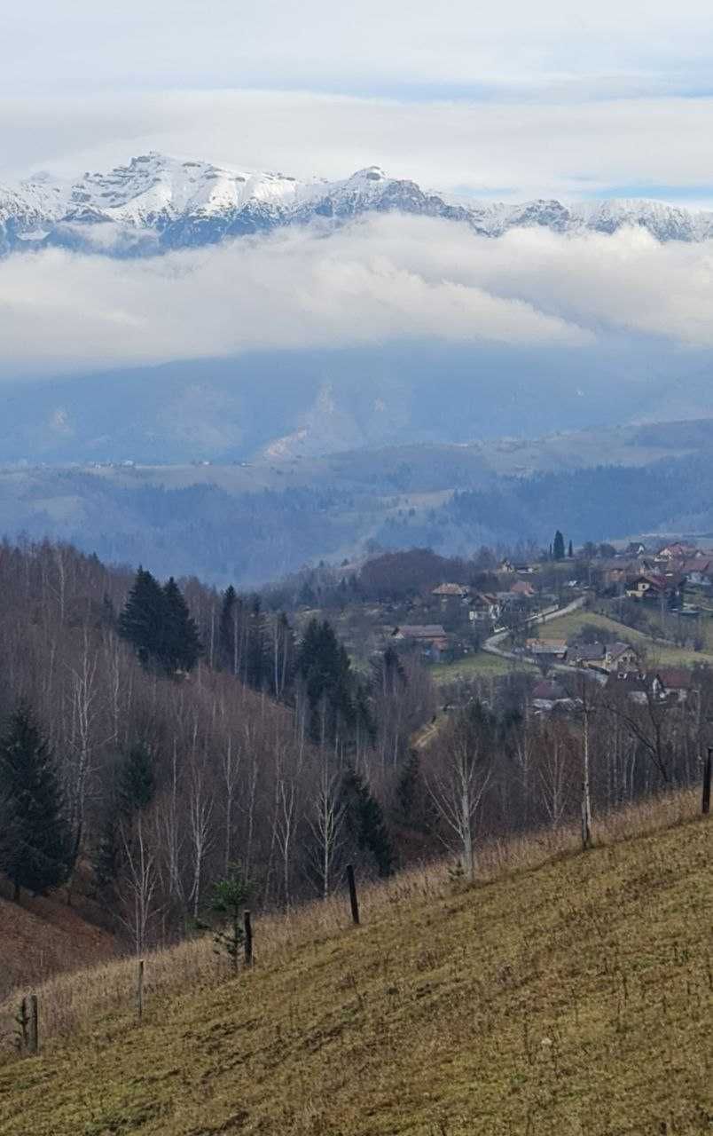 Teren la munte, la Peștera lângă Bran.