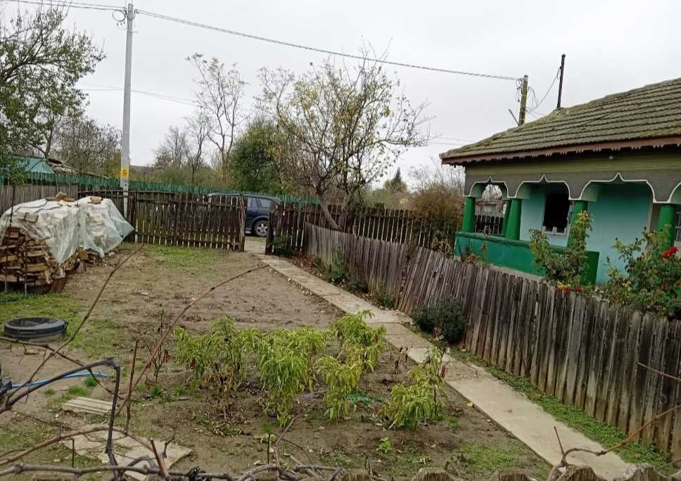 Casa traditionala si teren generos Făcăeni, Ialomița