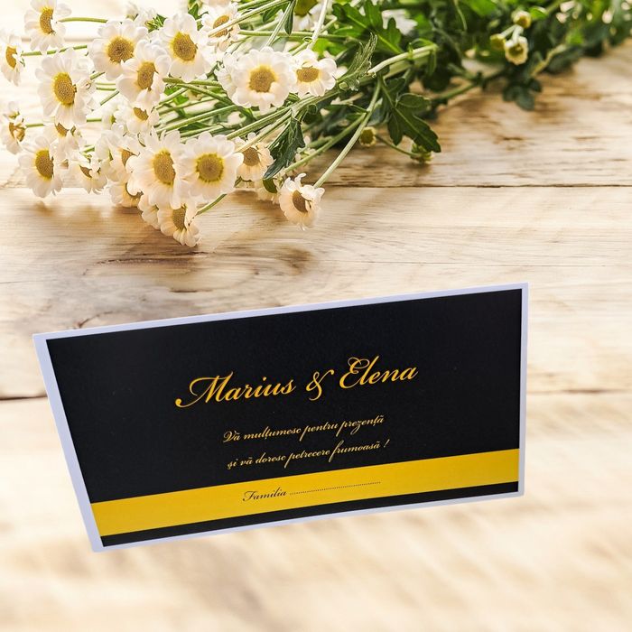 Plicuri de bani cu buzunar