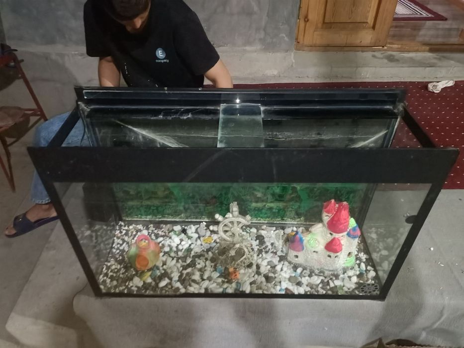 Akvarium akvarium