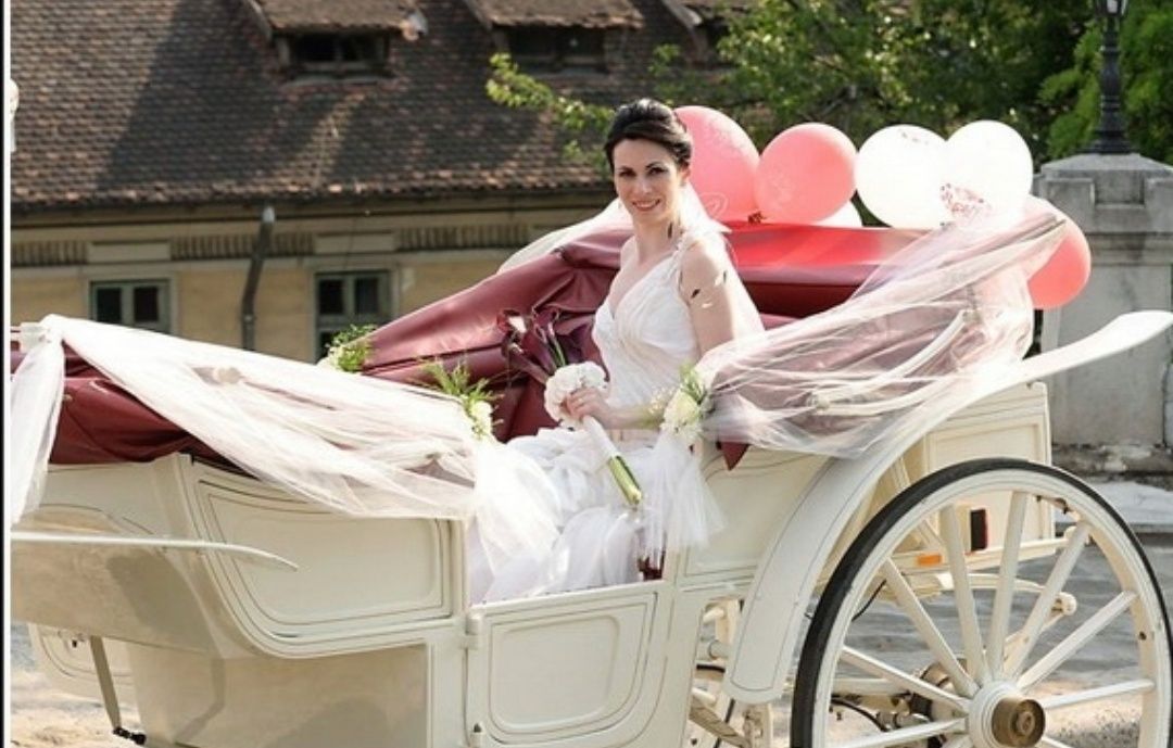 Plimbare Caleasca/Trasura Miri, Ședință foto cu caii