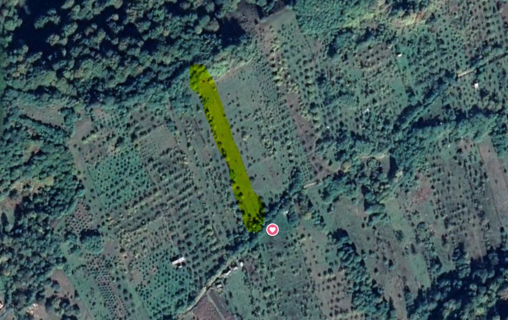 Teren de vanzare in  Albesti Ungureni, strada Valea Stupinii, 5000 mp