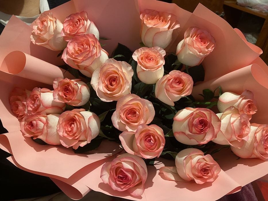 Срочно продам свежие только что купила 21 штук высокие