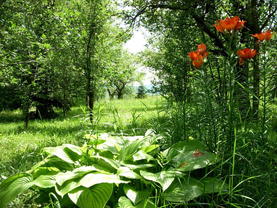 Vand teren intravilan 14000mp + IZVOR puternic in jud. CLUJ