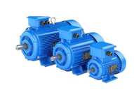 Motor electric monofazic 220V 1.1/1.5/2.2/3/4/5 KW 1500/3000 Garantie