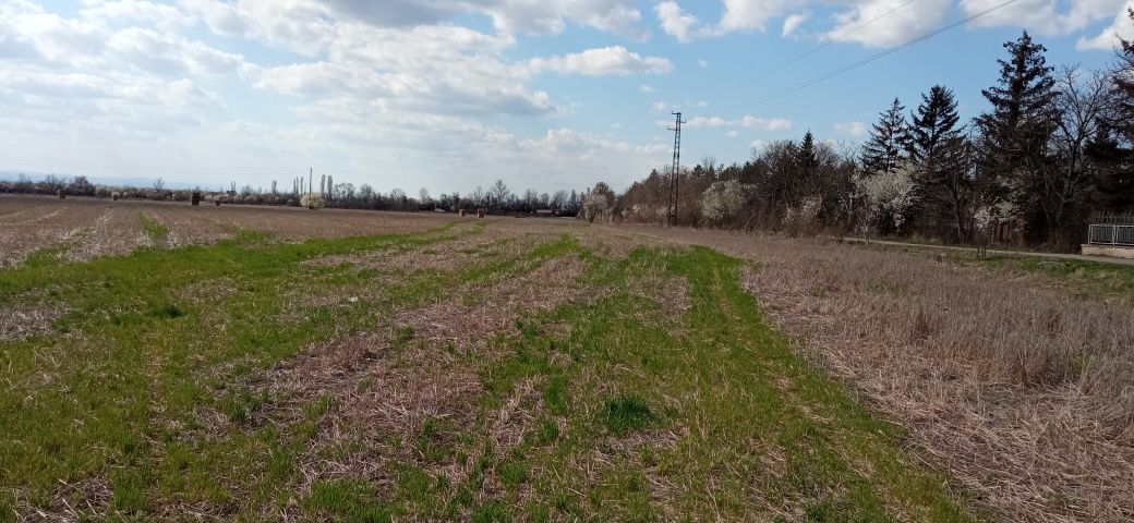 Поземлен имот нива