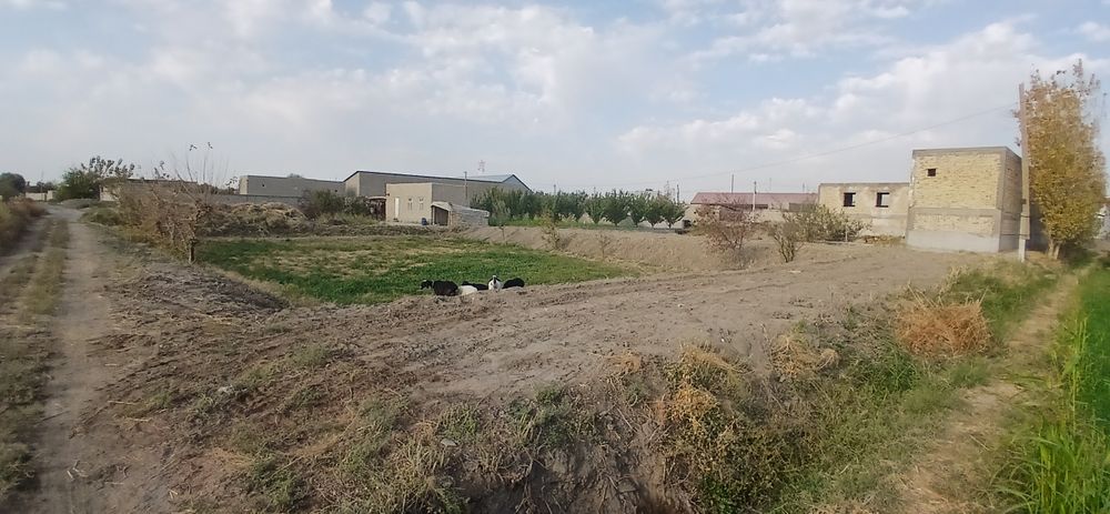 Хаммасига гарантийа