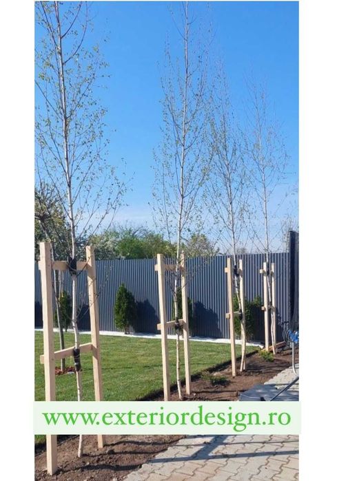 Amenajam Gazon rulou sau seminte cu sisteme de irigare