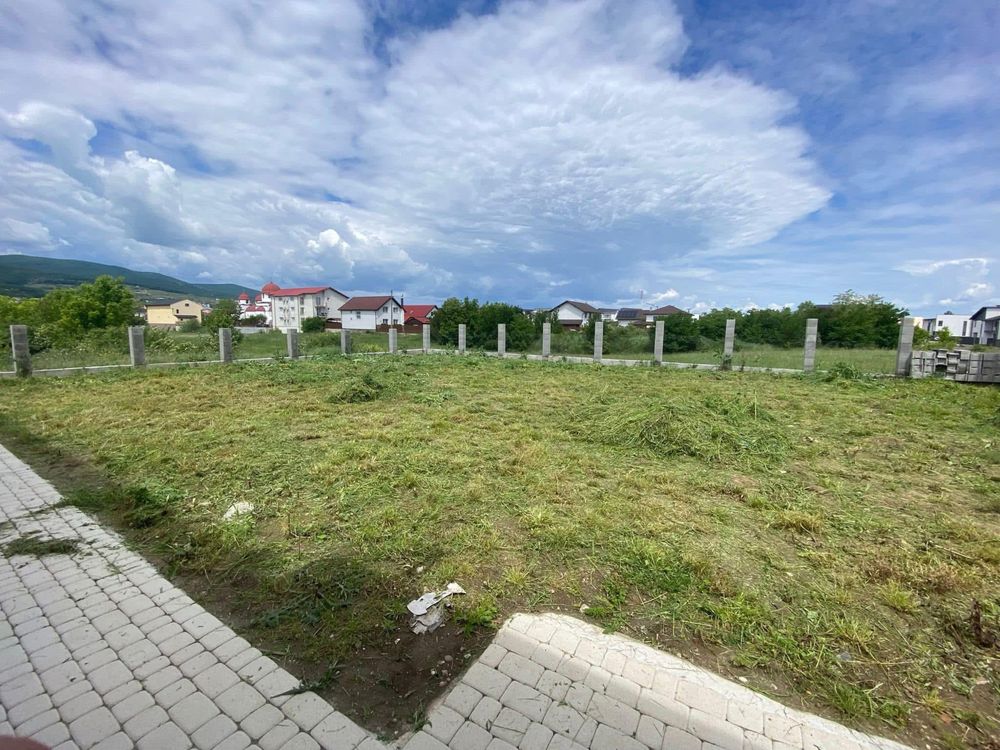 Grădina Ta Merită un Nou Început