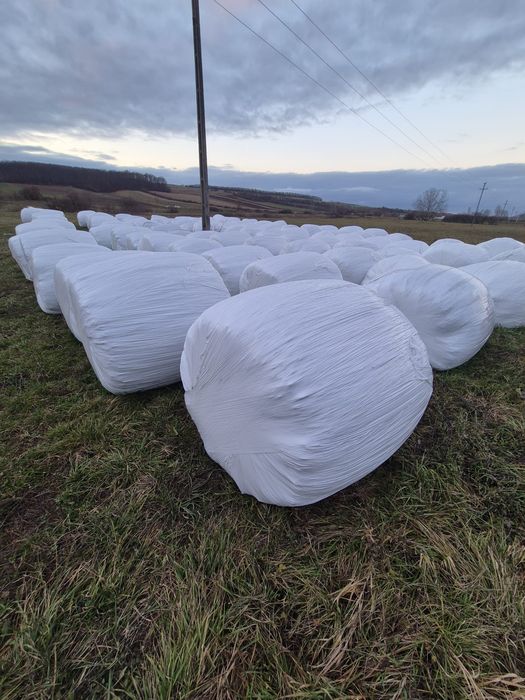 Baloti infoliati de lucerna