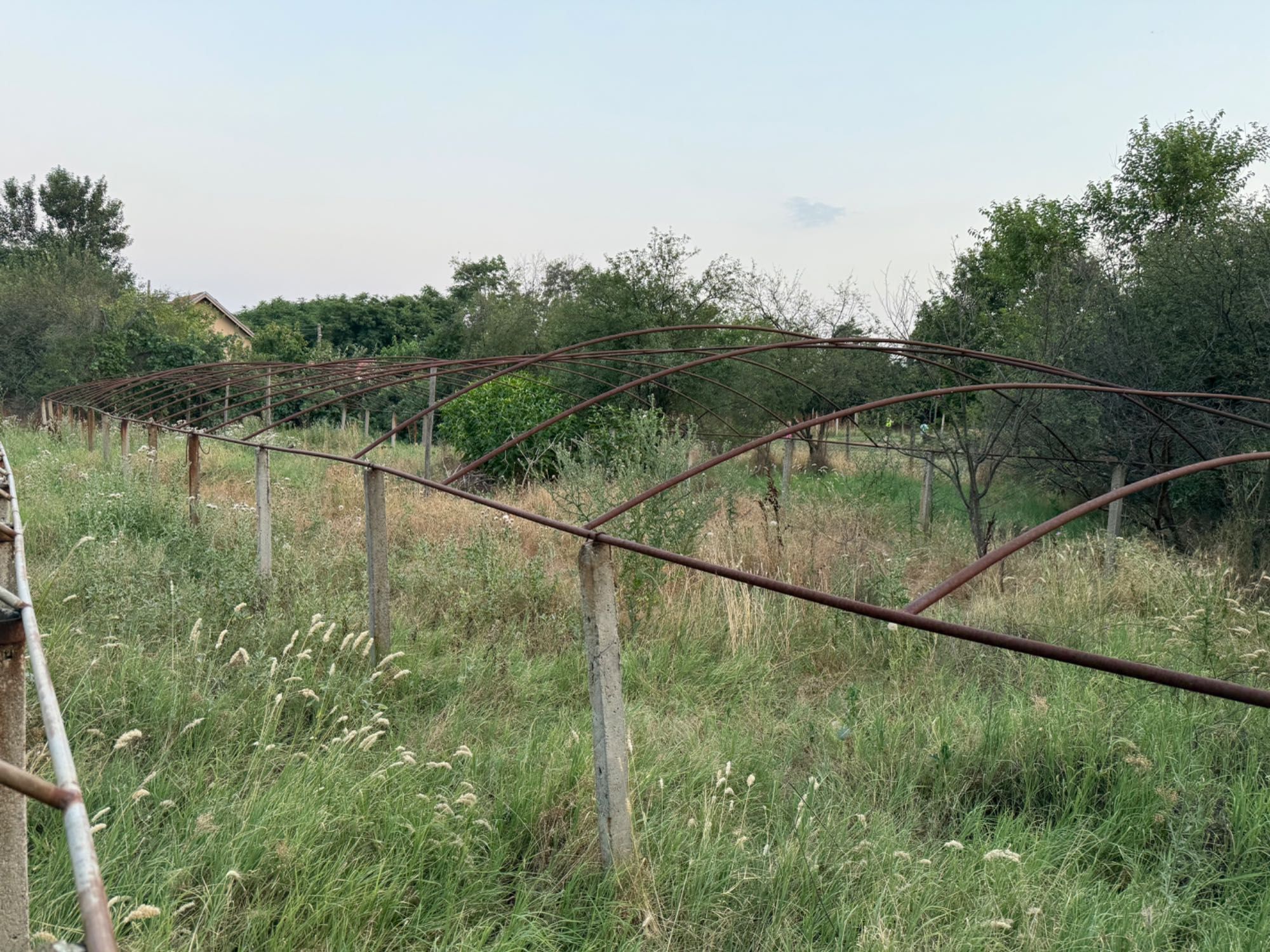 Оранжерия, парник на ниска цена