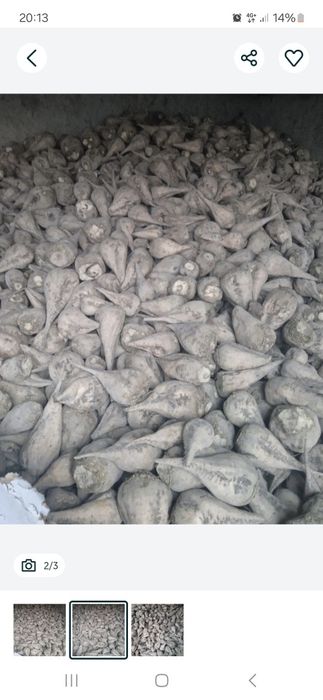 канд ловлаги зуридан